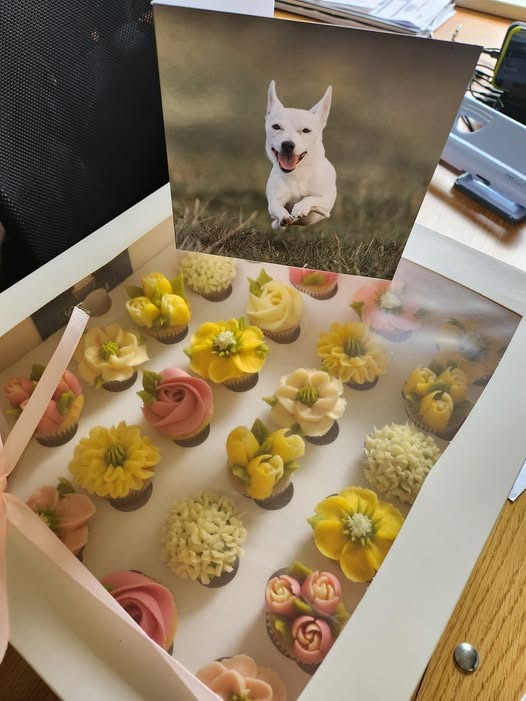 Handcrafted buttercream floral cupcakes baked fresh